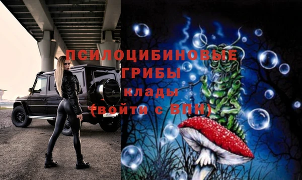 ешки Балахна