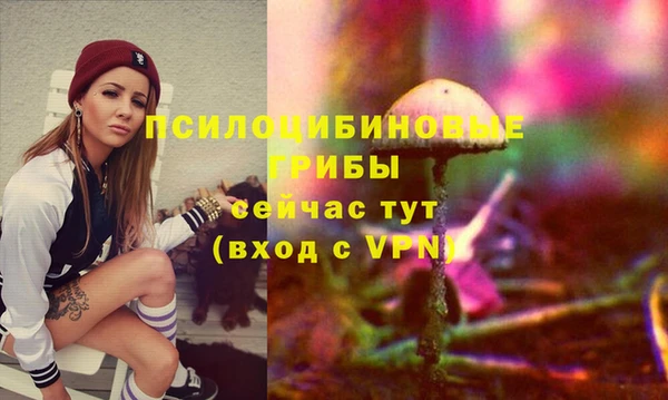 ешки Балахна