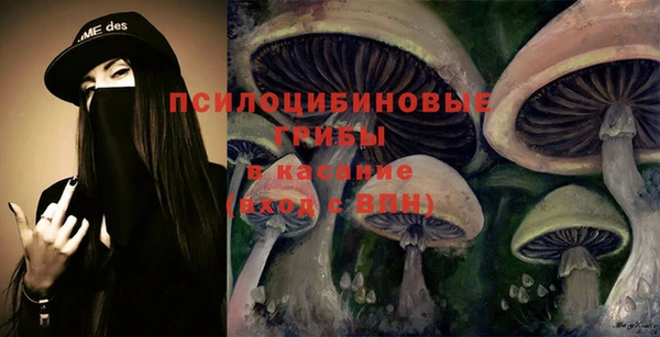 ешки Балахна