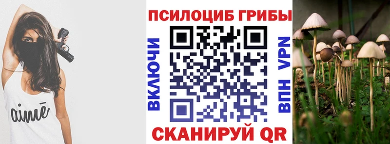 Купить где  Курчалой  Галлюциногенные грибы Magic Shrooms 